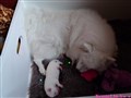 20260609_071036608.JPG